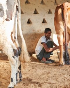 472621647 122197219376237169 4013753090313470399 n